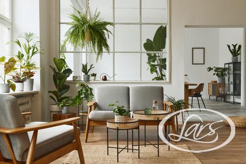 Where can I find reliable design-build contractors in Del Mar and the area