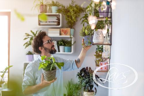 Where in La Jolla can I find dependable home remodeling service